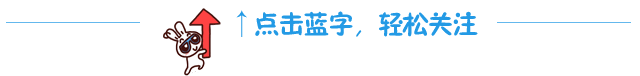 兔子红箭头引导关注