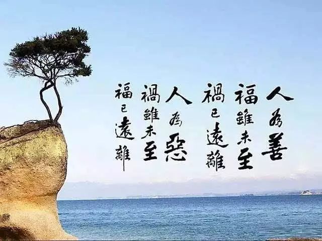 1565875331560612.jpg