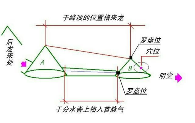 “龙入首”与“入首龙”之区别?