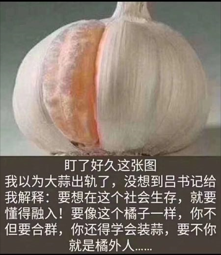 1560154936664578.png 1.png