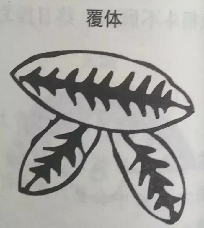 1560637389327686.png 15.png