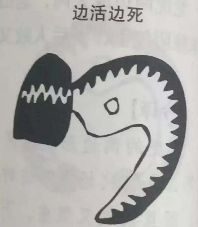 1560637421386089.png 19.png