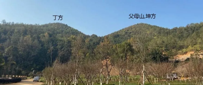 1579090960491575.png 4.png