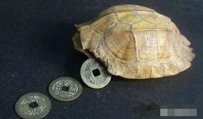 1581430578978786.png 1.png