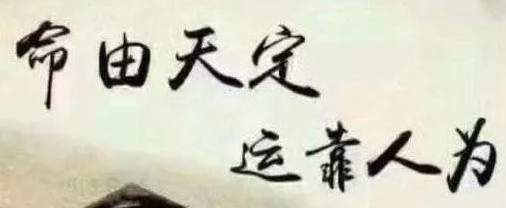 1582763217829507.png 1.png