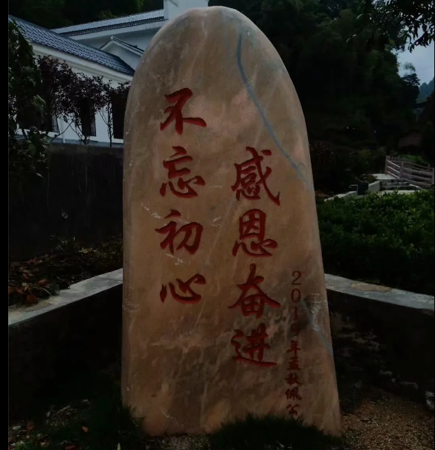 1590800942654258.png
