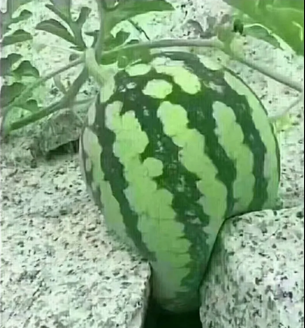 1591017152582502.png