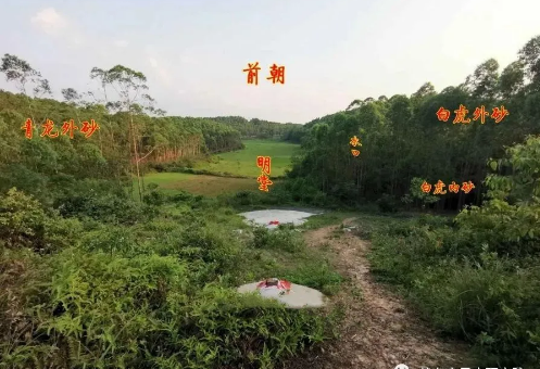 1597112441621210.png