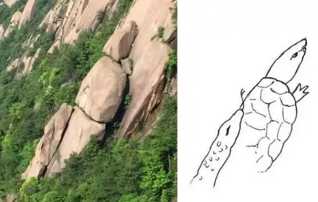 1598528983325702.png 1.png