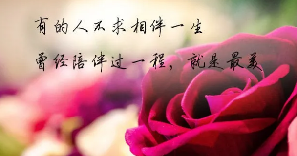 1603182161996941.png 2.png