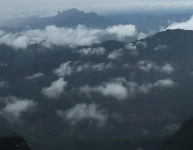1604593954997550.png 2.png