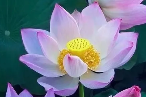 1616675242701831.png 3.png