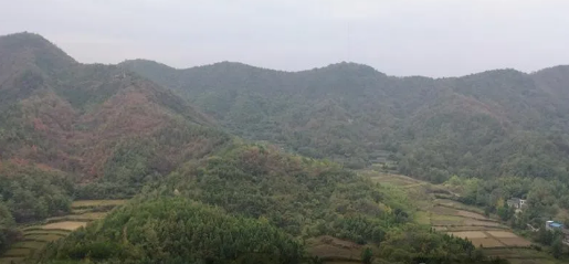 1620955185615201.png 2.png
