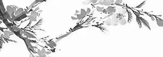 1621297338132900.png 1.png