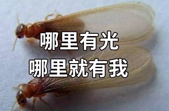 1621815822994807.png 1.png