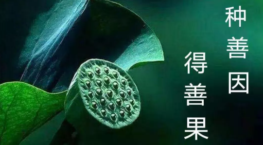 1624800581173210.png 1.png