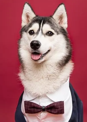 1625829328659632.png 1.png