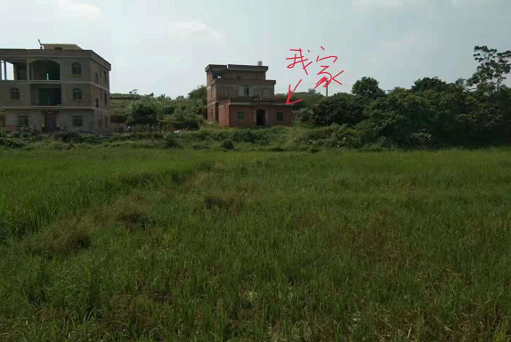 1632061717783414.png