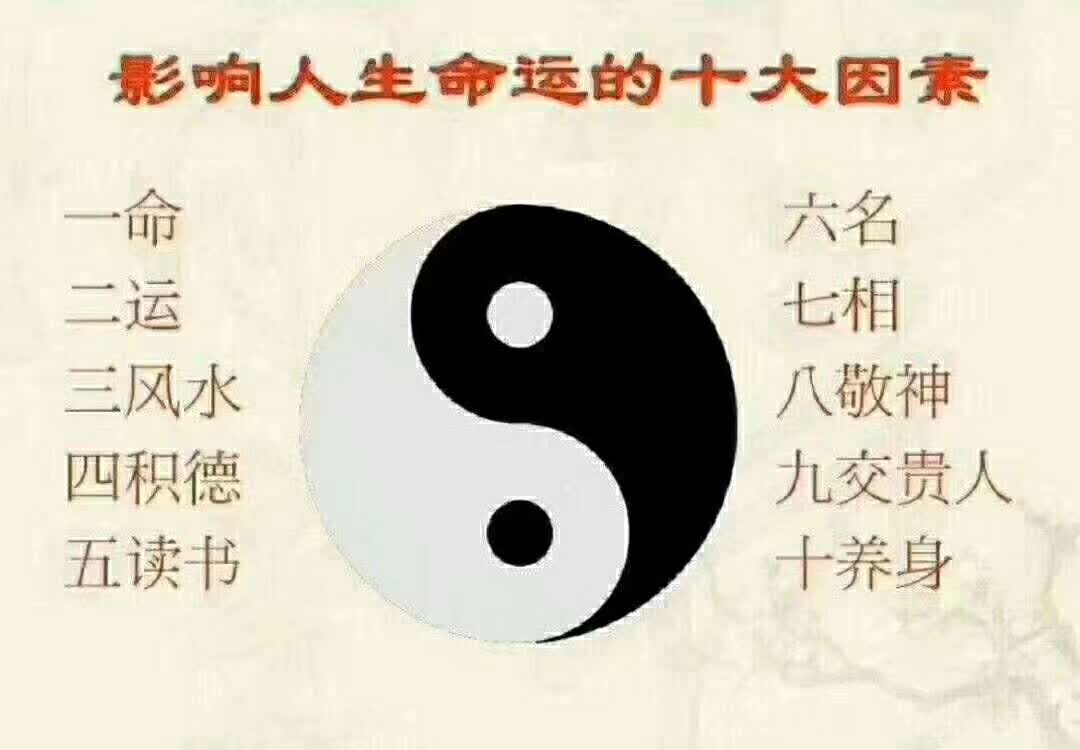 1650166609559110.jpg 1.jpg