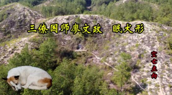 1656926446132218.png 2.png
