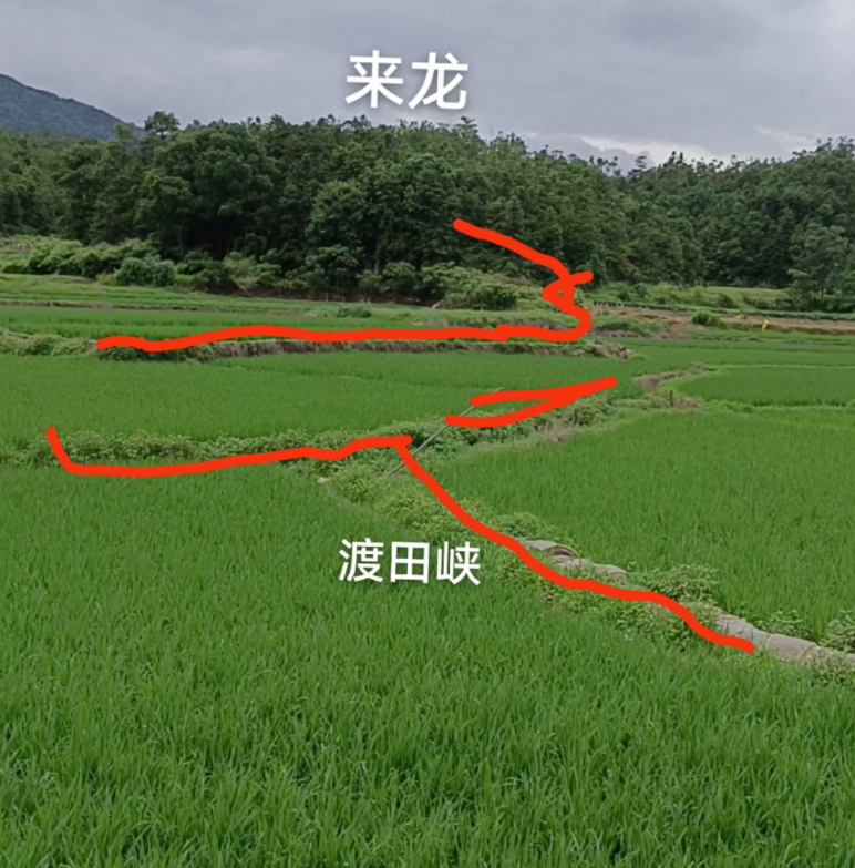 1687083027679914.png 2.png