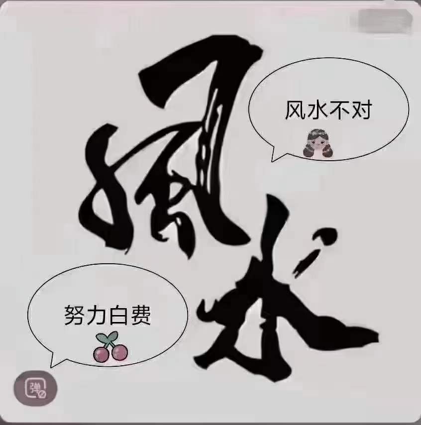 1700300427886999.jpg