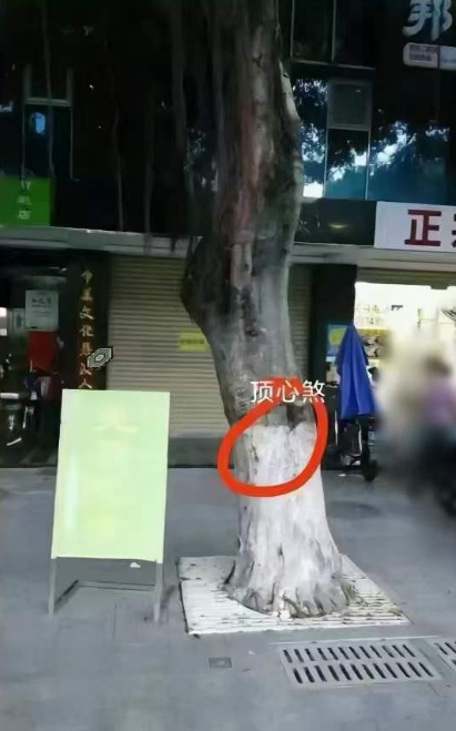 1708165999371090.png