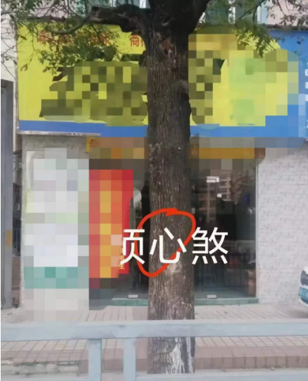 1708165999546619.png