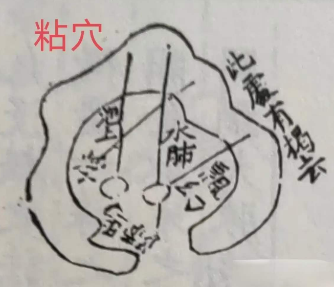 1713739572239729.png