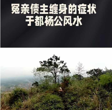 1728095125744268.png 1.png