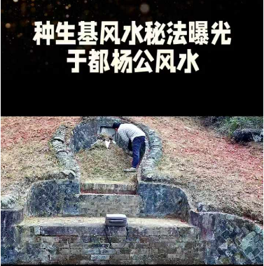 1730936109296849.png 1.png