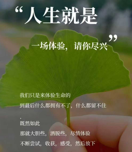 1751847681256135.png 1.png