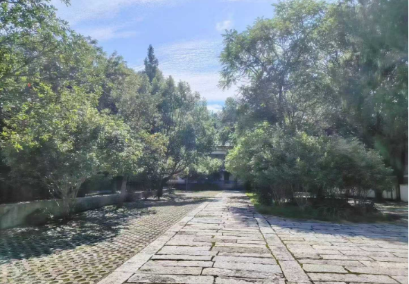 1759106873537246.png