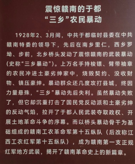 1770033343212900.jpg