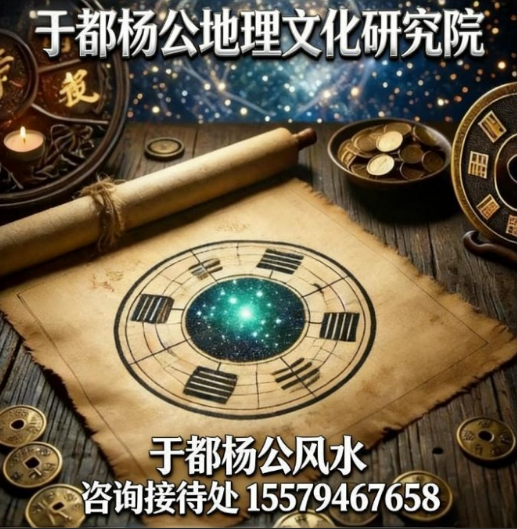 1772585222429579.jpg 21.jpg