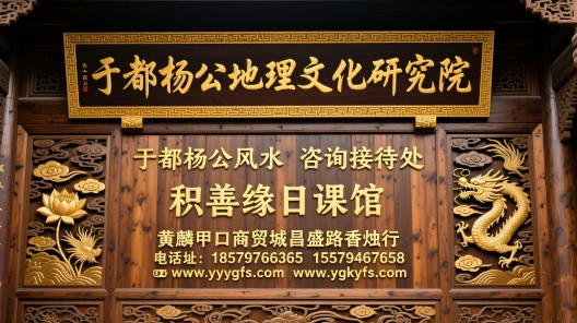 1772595484956329.jpg 5.jpg