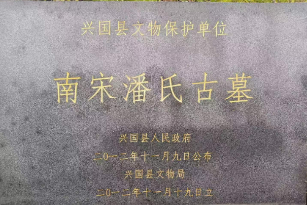 1776426163492391.jpg 14.jpg