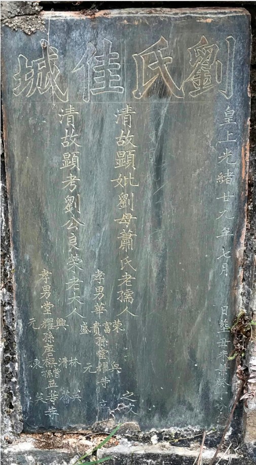 1784691206130305.jpg