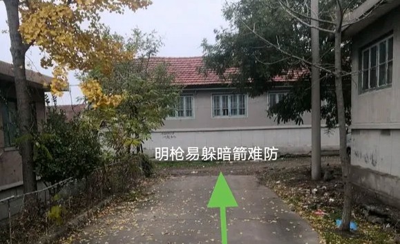 1785583130908861.jpg