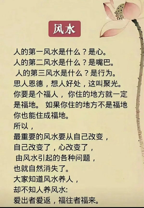 1787611858653065.png