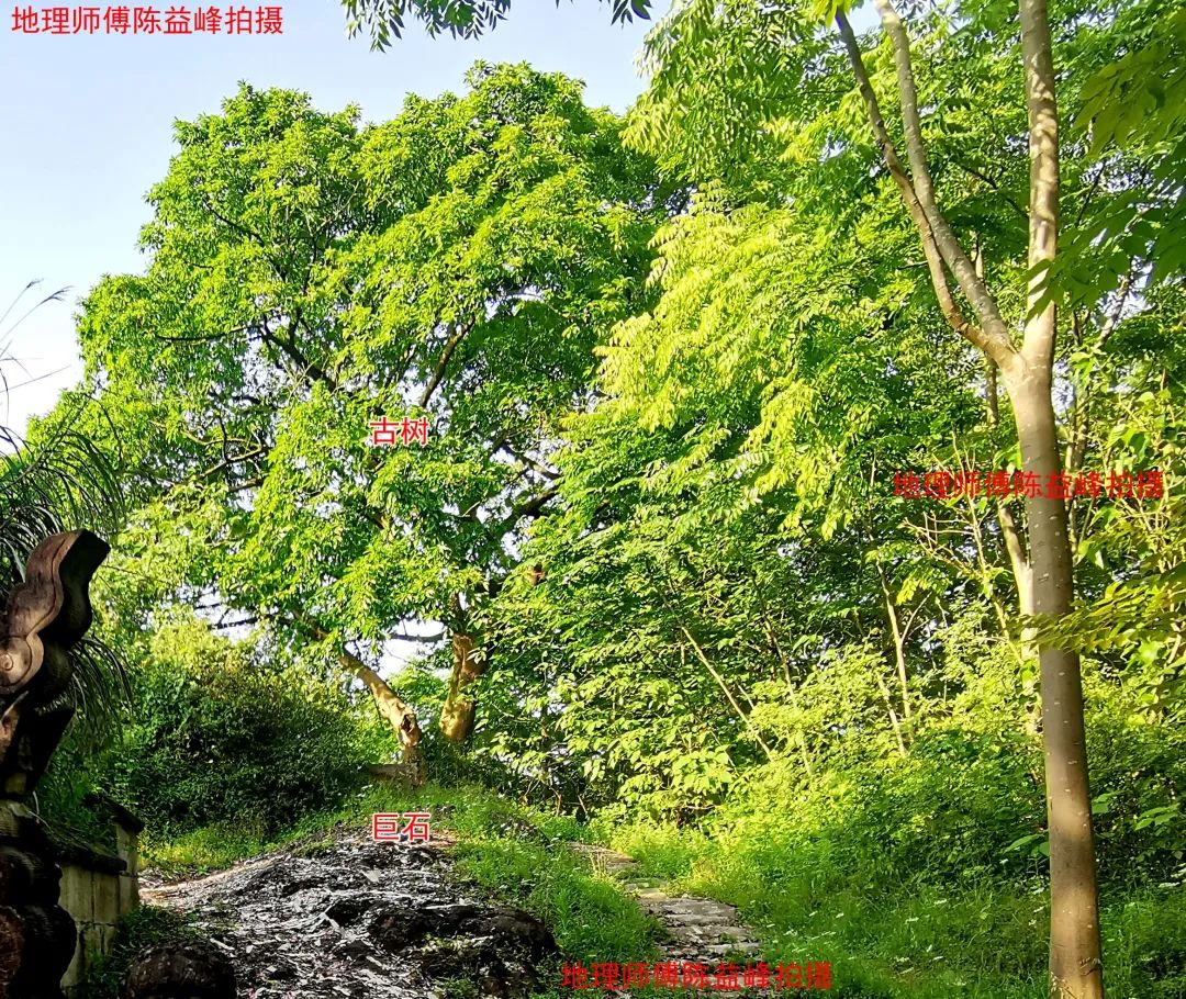 1621507555477280.jpg 图片