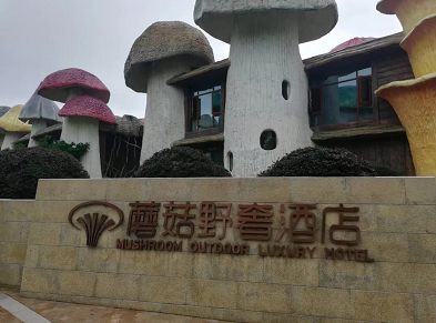 1600130357121758.png