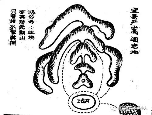 1504884245214525.jpg 图片