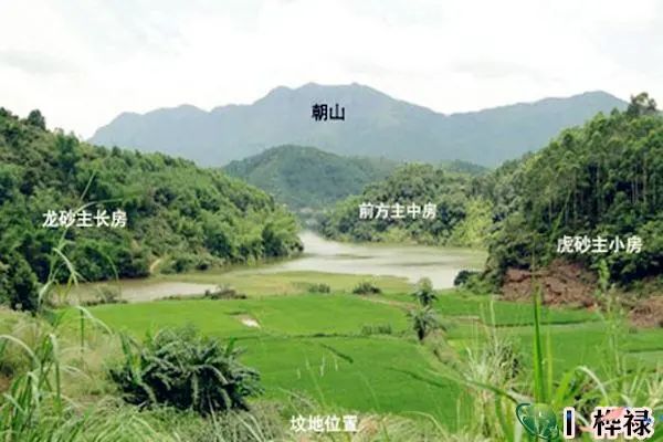 看坟地必知口诀 图片