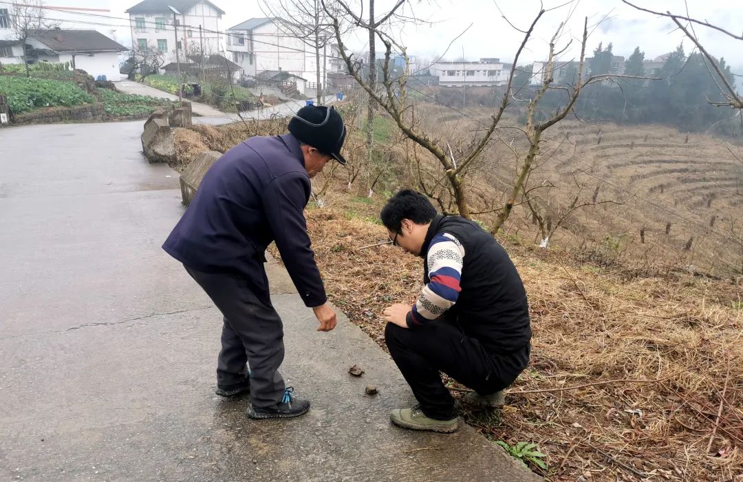 1643361736512235.jpg 图片