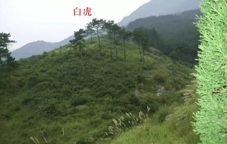 微信图片_20200825092457.png 微信图片_20200825092457.png